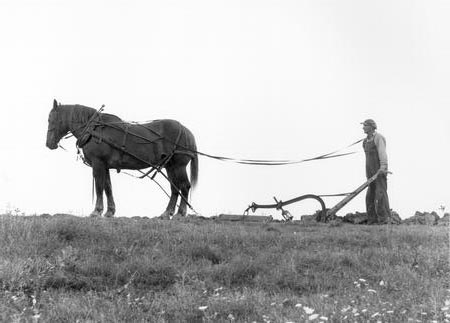 Farmer with horse-drawn plow, ca. 1930-1939.